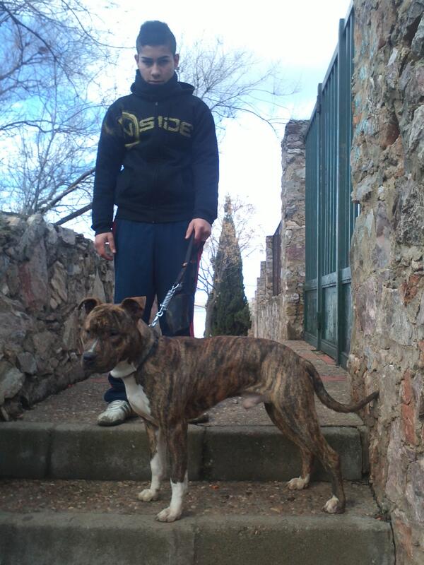 SergioRaulBenit's tweet photo. http://t.co/u27fZuXmtJ