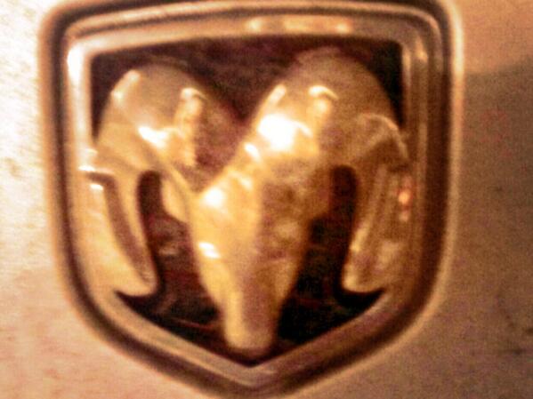 lfields291's tweet image. 