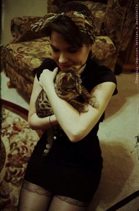 BeatnikBBB's tweet photo. Two beautiful kittens. #pinuppost http://t.co/Ce3RpeGJIT