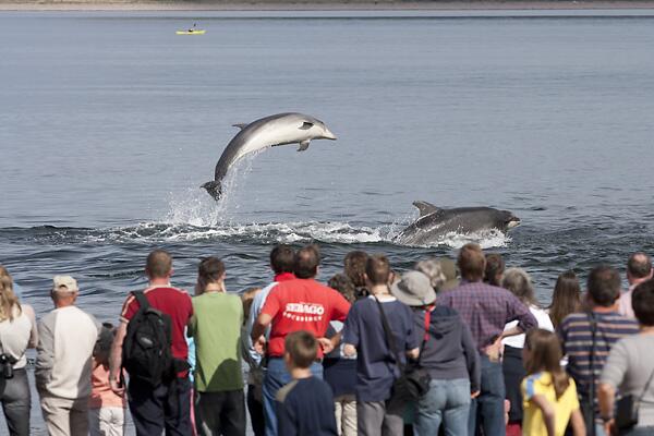 Seasaver tweet picture