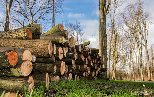 Bron: Iwan Bronkhorst