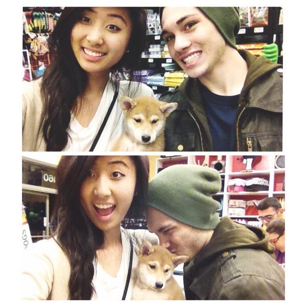 _silkrs's tweet image. Uhggg, wish I could've taken this puppy home. 😭 #suchcute #muchshibe #doge