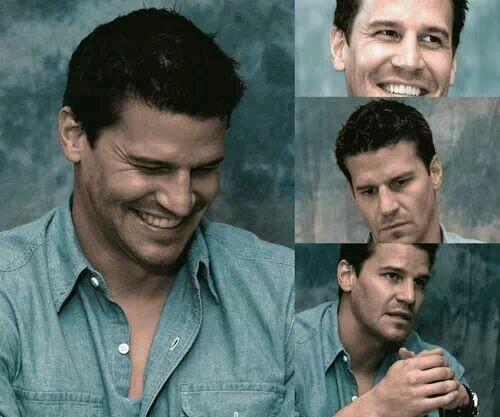 davidboreanazagenteseeleybooth