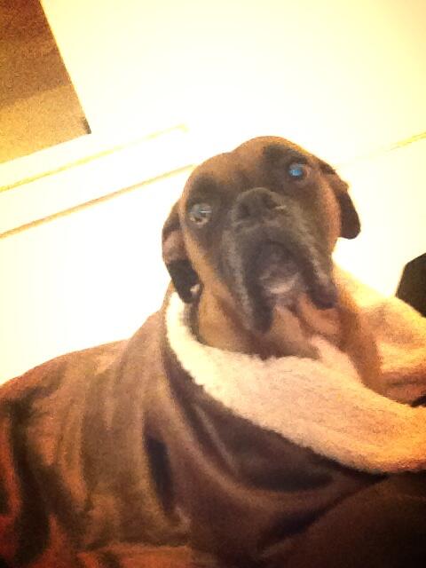 MaxLikesSnacks's tweet photo. Too scared to sleep at Massasoit, crashing at @runben_ 's place! http://t.co/yS9GmyPIDF