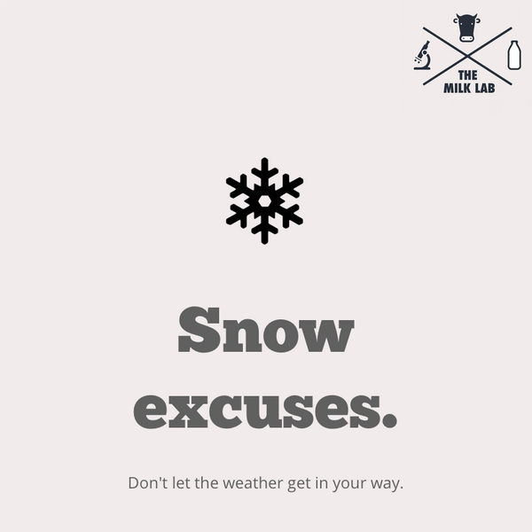 themilklab's tweet photo. Despite the snow, today we welcome a new resident at The Milk Lab, which reminds us.... http://t.co/WkGWCKWmO4