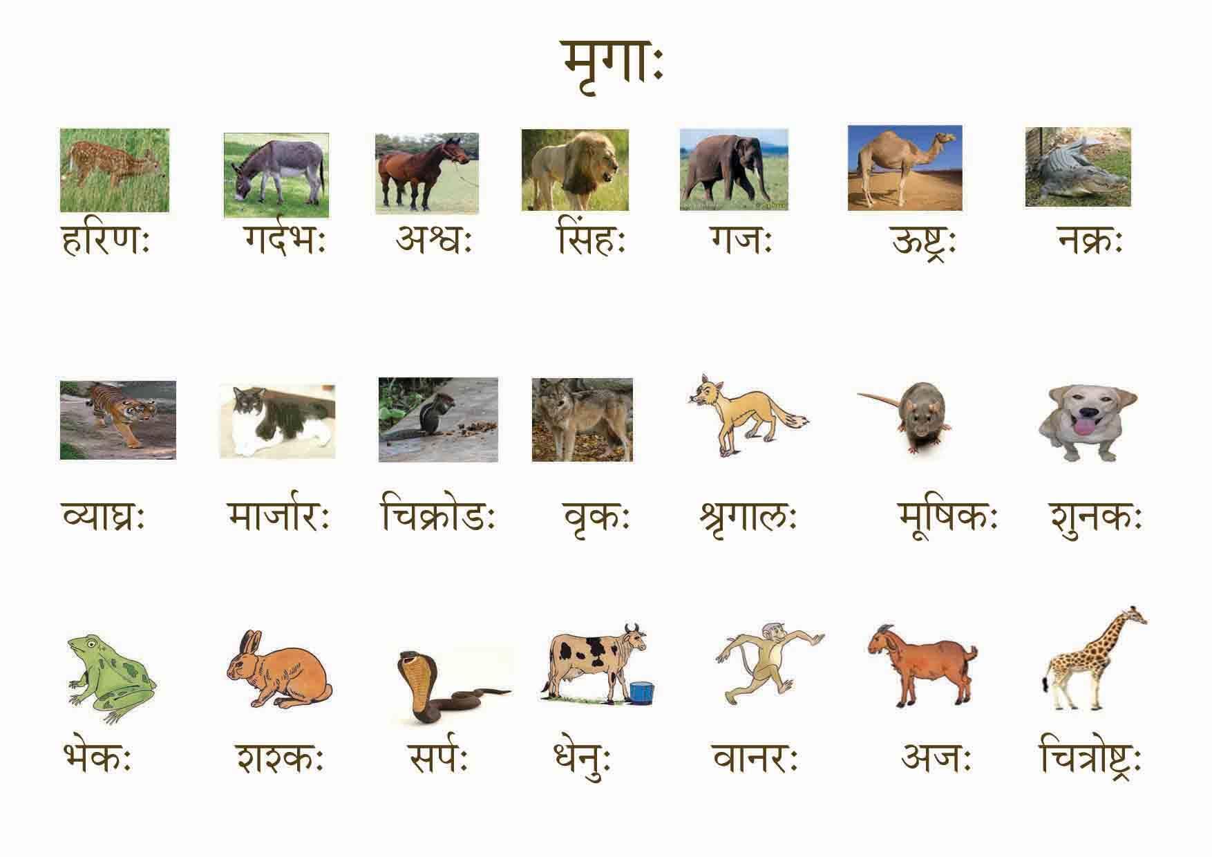 Samskrit Tutorial on Twitter: Samskrit Tutorial on Twitter: