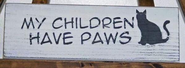 rbfwa's tweet photo. Happy #meowmonday everyone :) http://t.co/1WZLysO0fM