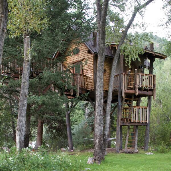 westelm's tweet photo. #dreamhouseoftheday Treehouse in Colorado via @1Kindesign http://t.co/COQyc0qVRn http://t.co/0hzWvcCppa