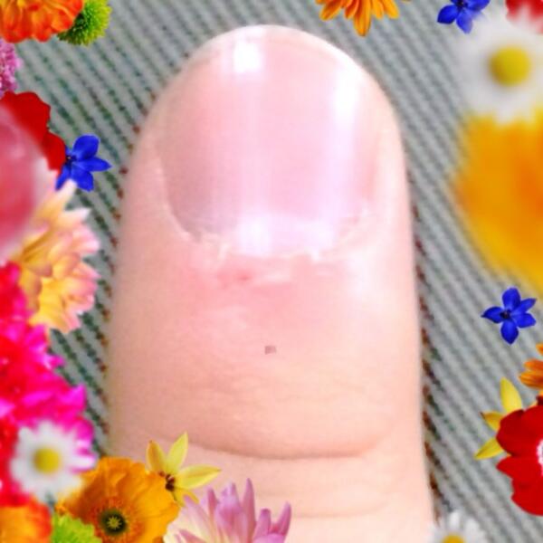 OreNail's tweet photo. ささくれが辛いよー(ｰ ｰ;) #nail #ネイル #爪 #ヌードネイル #女子力 #ささくれ http://t.co/c6fOHdGFl6