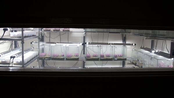 DurrellWildlife's tweet photo. #Powercuts in Jersey... don't worry, we've checked and all the animals are fine - even unhatched ones #DurrellTeam http://t.co/E45YUMlP8V