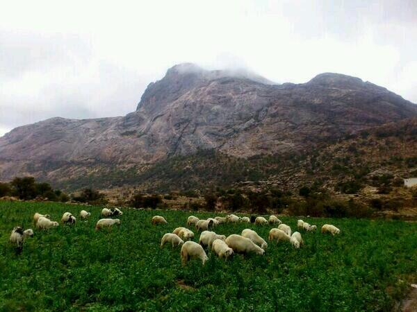 Ya_rrbb's tweet photo. http://t.co/lww3MIO8TN
