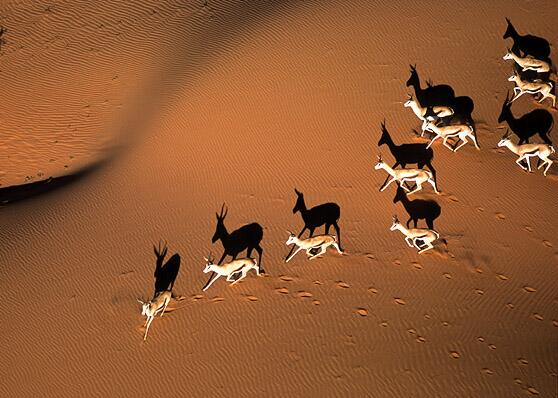 Some great ideas for #adventure seekers interested in visiting #Namibia via <a href="/thetravelword/">Ethan Gelber</a> ow.ly/sKauQ