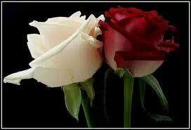magdi459's tweet photo. @tmfulks hiii http://t.co/Rtso3SQdpX