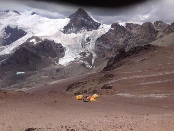 Linda Wales tweet media