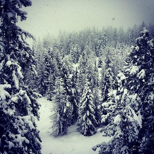 Snow in the Dolomites - photo by Igor Tavella, founder of holimites.com <a href="/holimites/">holimites</a> #Dolomites