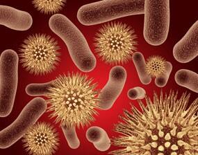 MicrocleanWorld tweet picture