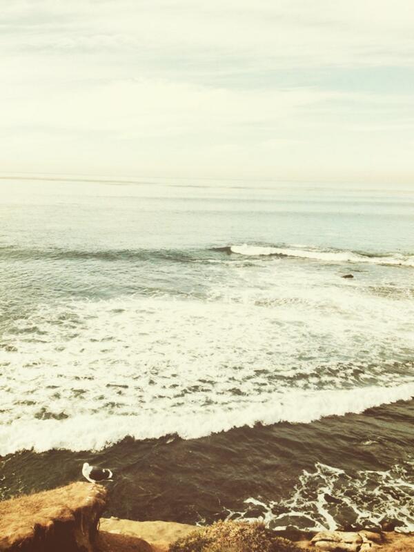 beard_bob's tweet photo. I will absolutely miss San Diego! http://t.co/cPPfHIrTbW