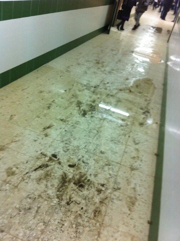 Javi Almansa Santos tweet media