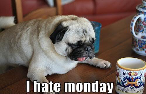 3MillionDogs's tweet photo. Just 5... more minutes. http://t.co/IVRd6KZlVn