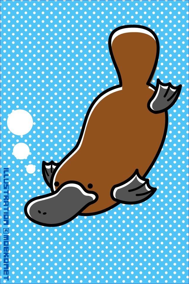 動物の画像について 最高のカモノハシ イラスト フリー 動物の画像について 最高のカモノハシ イラスト フリー