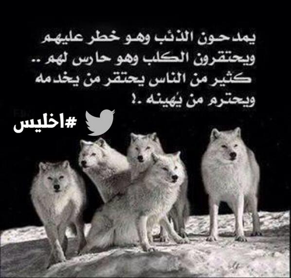 Q8P1NG's tweet photo. يمدحون الذئب وهو خطر عليهم
ويحتقرون الكلب وهو حارس لهم

كثير من الناس يحتقر من يخدمه
ويحترم من يهينه ..!

#اخليس http://t.co/SXlzAcJ1ZE