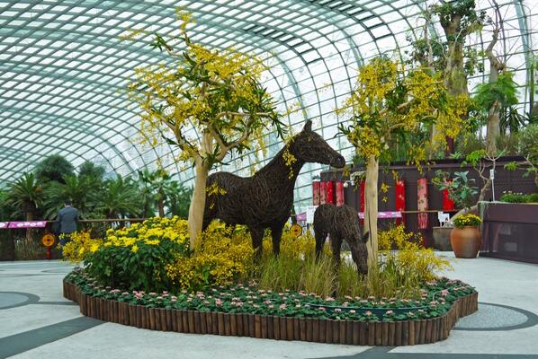 Finally! Here they are in their new home <a href="/GardensbytheBay/">gardensbythebay</a> in the #FloralDome #YearoftheHorse