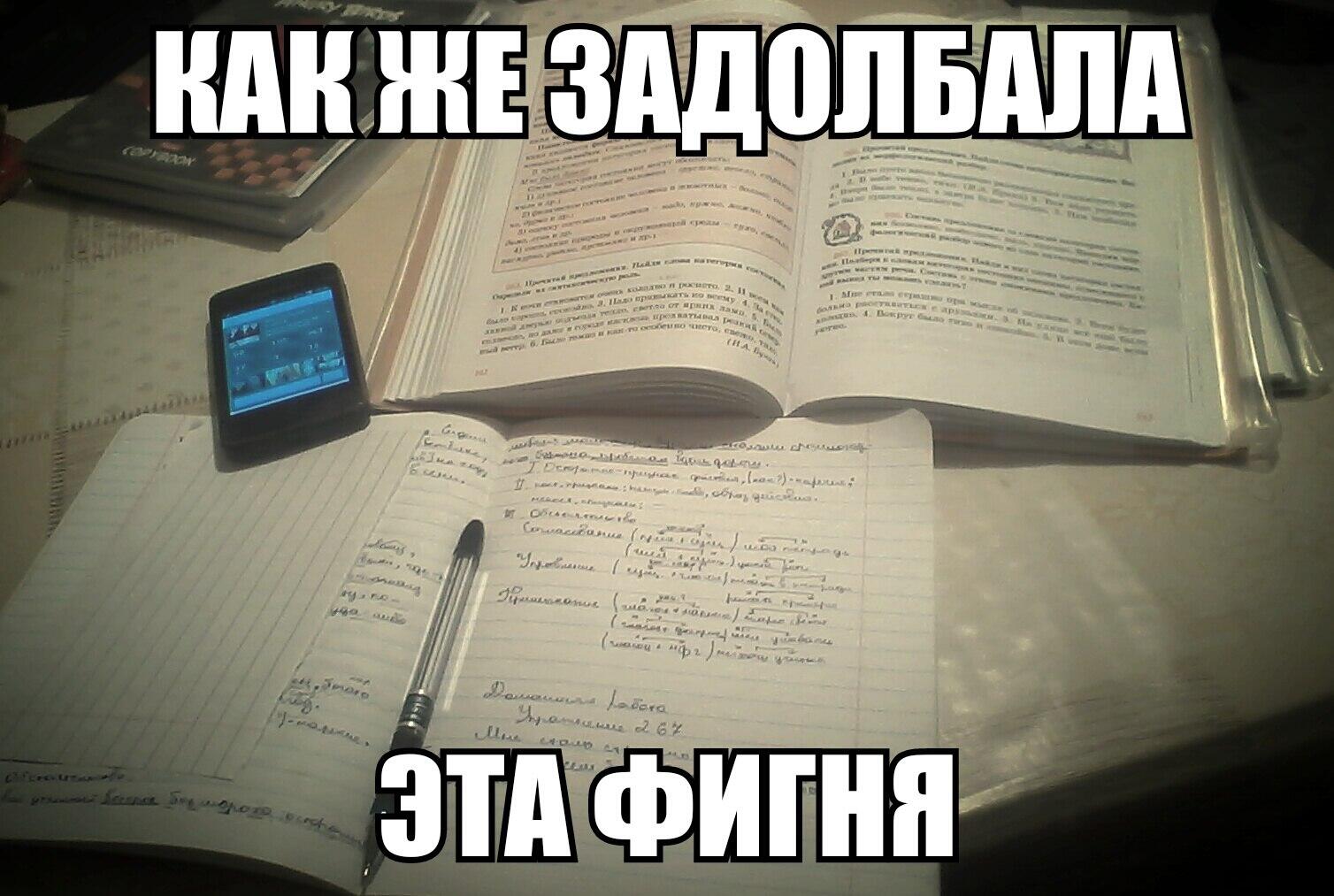 Прикольные картинки про учебу