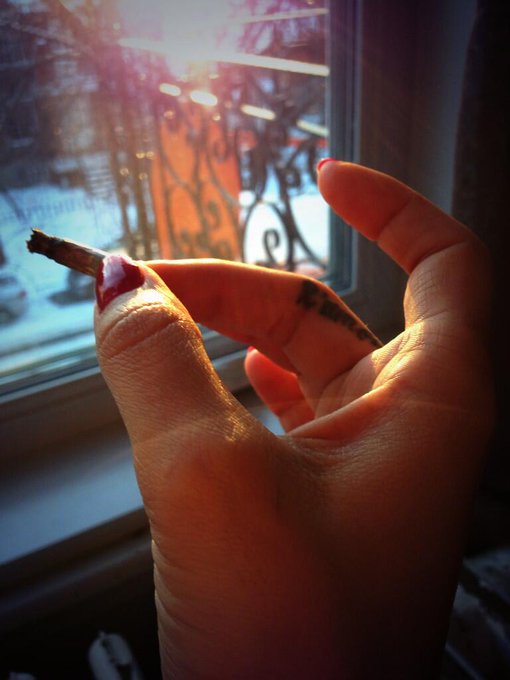 Just a bit early for #420 😋 http://t.co/J6ZcPdRBl2<a href="/tag/sleepingbeauty"class="tags"><span>#sleepingbeauty</span></a><a href="/tag/crazy4kittens"class="tags"><span>#crazy4kittens</span></a>