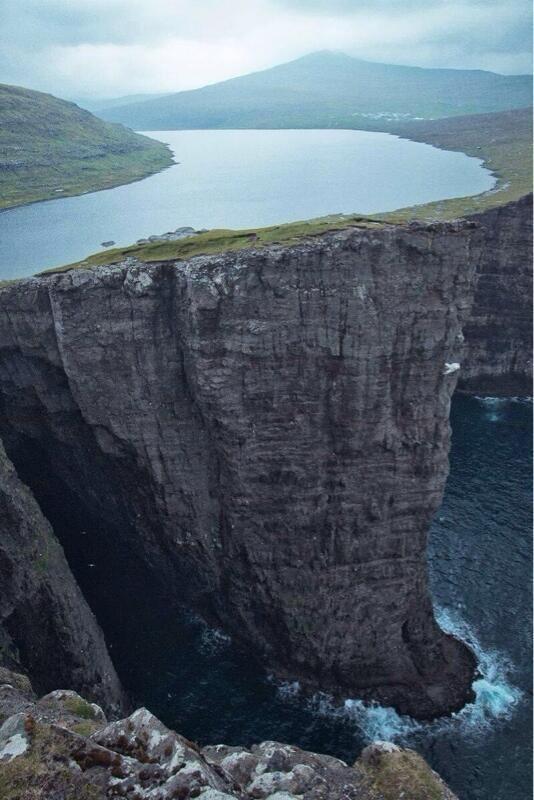 La naturaleza realmente es increíble.