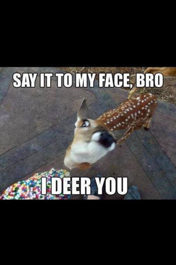 balders153's tweet photo. @PaulDalton14  @LukeJohnson201  http://t.co/e9bqRbf9o9”