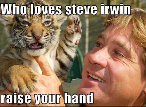facebook.com/RestInPeaceSte… #steveirwin #australia #zoo #facebook #wildlife #wildlifewarrior #facebookpage #rip