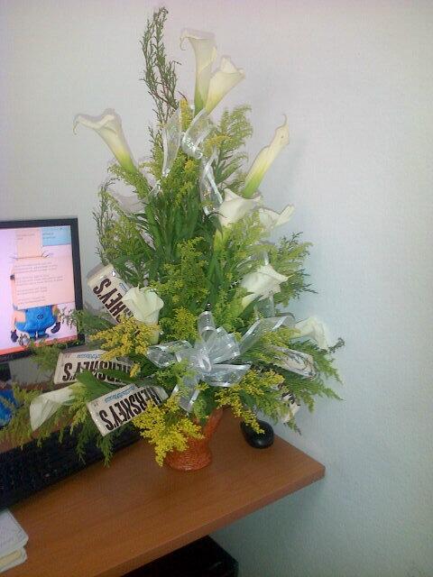 Dahertys's tweet photo. Mis flores! #AeropaqWork! Gracias #Ismael http://t.co/RHhZP8RDTf