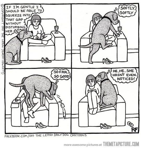 Tails Pet Magazine (@tailsmagazines) on Twitter photo We're such big fans of the comics from <a href="/RupertFawcett/">Off The Leash & On The Prowl</a>! This one rings particularly true: We're such big fans of the comics from <a href="/RupertFawcett/">Off The Leash & On The Prowl</a>! This one rings particularly true: