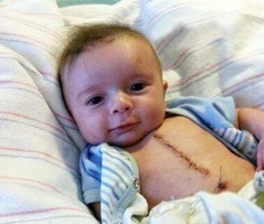 _Paisajes_'s tweet photo. FAV si crees que es un gran luchador despues de su operacion: http://t.co/vRBb2np5Wb
