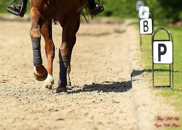 schmidt_malene's tweet image. 