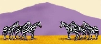 白條紋的黑斑馬和黑條紋的白斑馬彼此世代為仇。