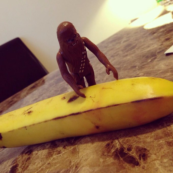 Mmm #chewbacca is that a banana or are you happy to see me? http://t.co/AzNxJVoo17