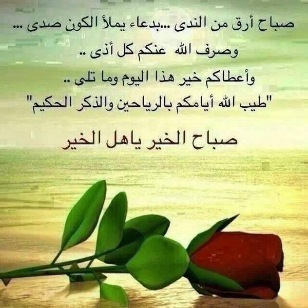 alii_sd's tweet photo. http://t.co/aeUZDl88Ys