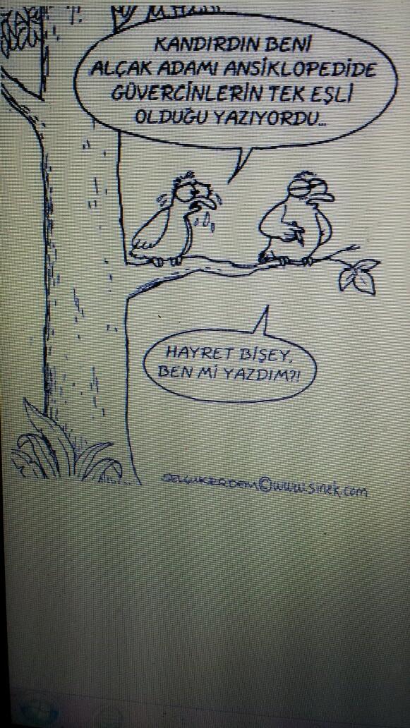 Siz duyduklariniza değil, yaşadıklarınıza bakın