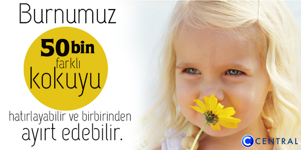 CentralTR's tweet photo. Bu tweeti saat 17:00’a kadar RT eden 3 kişiye “Bebek Bakım Paketi” hediye. Kazananlar 17:30’da açıklanacak. http://t.co/7RpnT7baTW