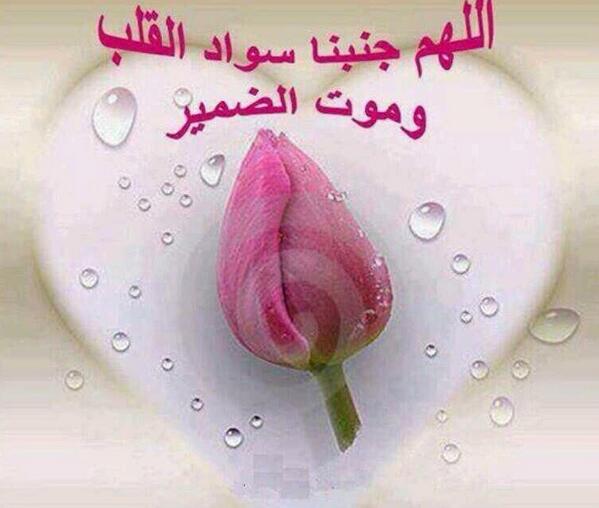 Fatma2li's tweet photo. "@yn19731: http://t.co/Q4jN4wfCUL"