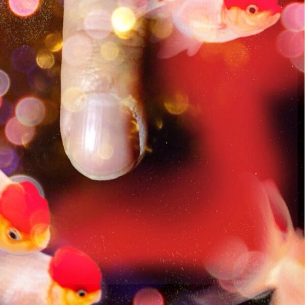 OreNail's tweet photo. 何指でしょうか？★ #nail #ネイル #爪 #ヌードネイル #女子力 #ささくれ #クイズ http://t.co/g9RJPA8HjG