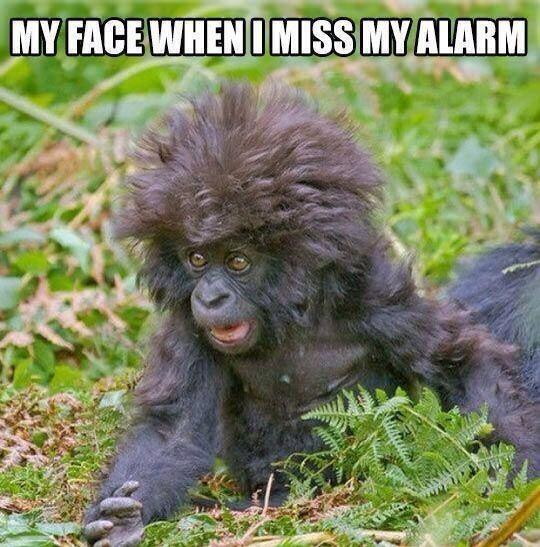 clf155's tweet photo. @StefanMiller850  This is you ! http://t.co/ur47ES7RhG