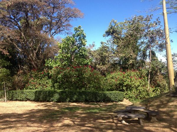 Tweety639's tweet photo. You see nature at its best at UPEACE.#peacemediacoopclass http://t.co/7h0aZMSUSQ