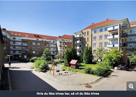 Einar Tørnquist tweet media