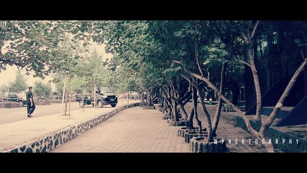 Jasa Photography tweet media