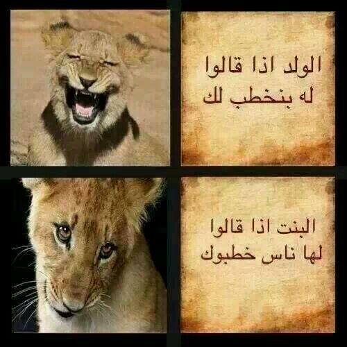 mubasherr_media tweet picture