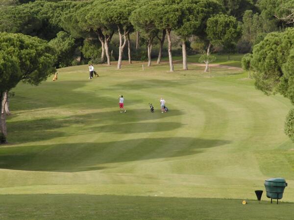 ColneGolfAcademy (@colnegolf) on Twitter photo 