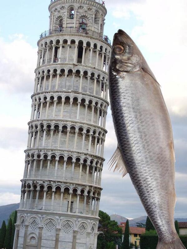 Lee_Resource's tweet image. Creative vining with "Giddy kippers" at #nfacomms and @AsifChoudry #NeedntBeThatWay