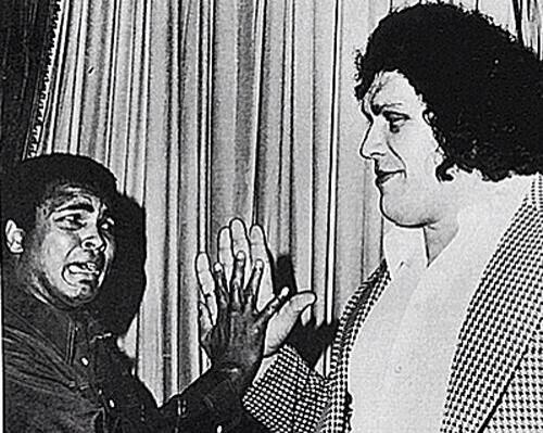 Sportbible Muhammad Ali And Andre The Giant Comparing Hand Sizes Http T Co Phjsjlksmh